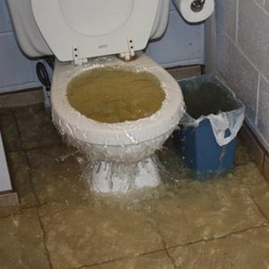 toilet ontstoppen toilet ontstoppen